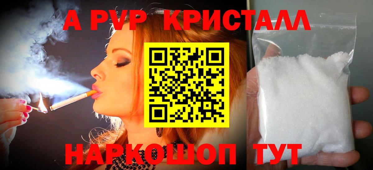 A PVP СК Норильск